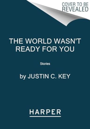The World Wasn't Ready for You: Stories