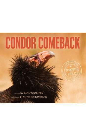 Condor Comeback