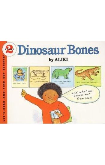 Dinosaur Bones