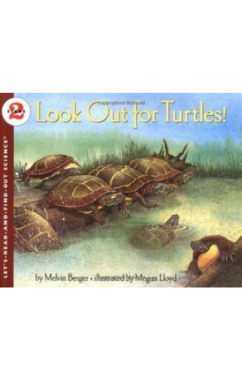 Look Out for Turtles