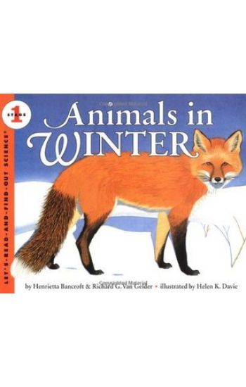 Animals in Winter