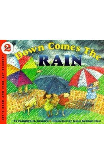 Down Comes the Rain