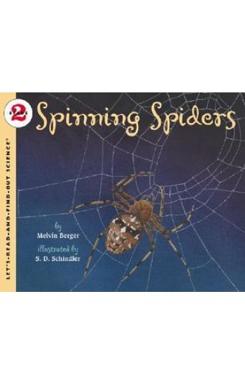 Spinning Spiders