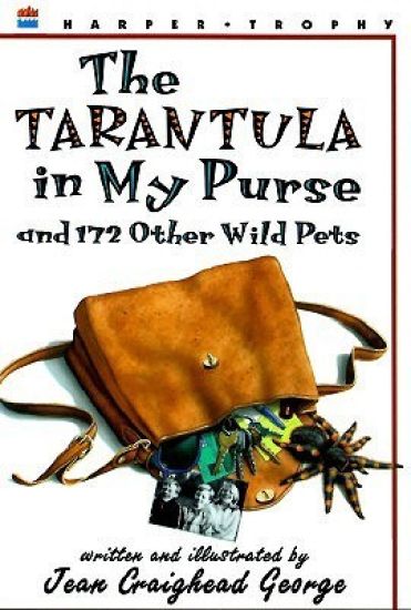 Tarantula in My Purse