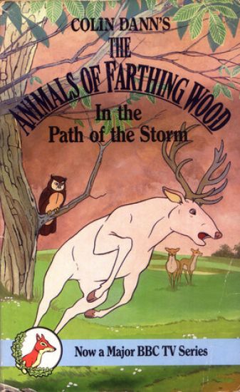 In The Path Of The Storm