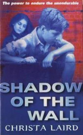 Shadow Of The Wall