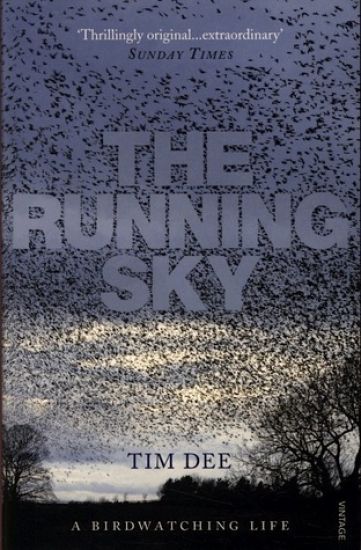 Running Sky