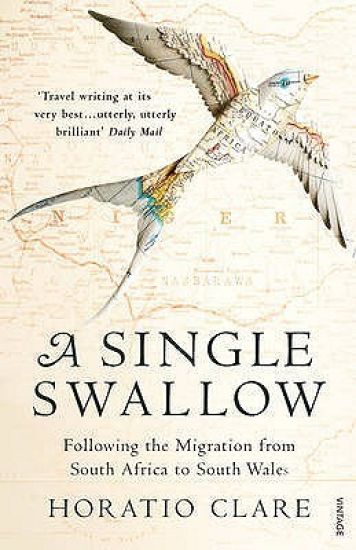 Single Swallow
