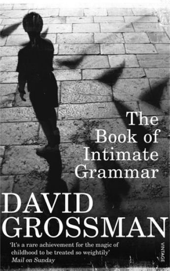 The Book Of Intimate Grammar