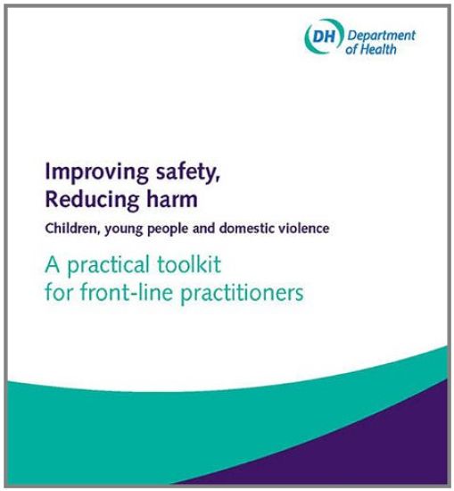 Improving Safety, Reducing Harm, Children, Young People and Domestic Violence