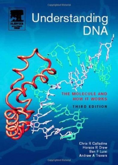 Understanding DNA
