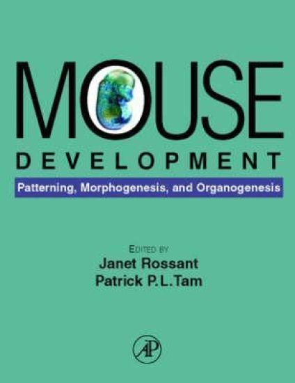 Mouse Development