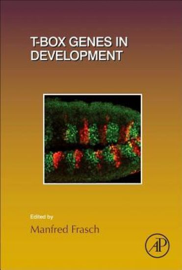 T-box Genes in Development and Disease