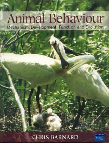 Animal Behaviour