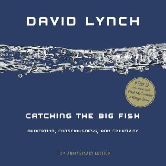 Catching the Big Fish: Meditation, Consciousness, and Creativity