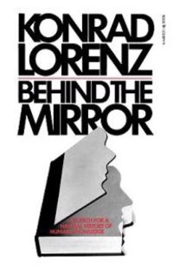 Behind the Mirror
