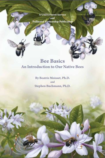 Bee Basics: An Introduction to Our Native Bees: An Introduction to Our Native Bees