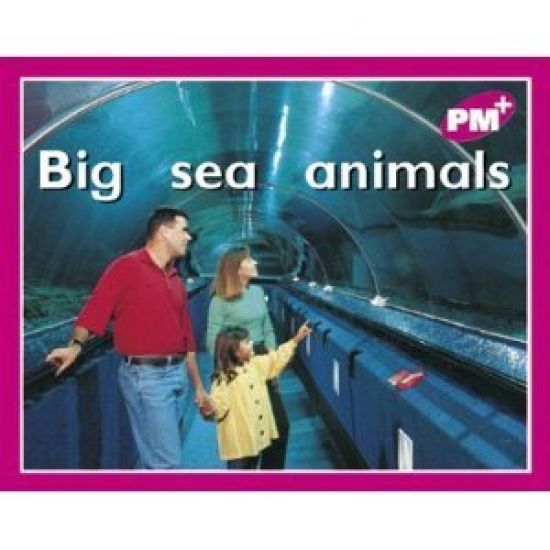 Big sea animals