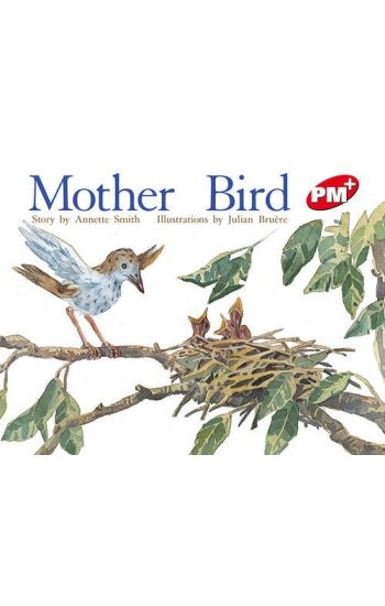 Mother Bird