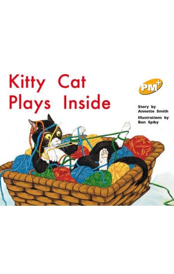 Kitty Cat Plays Inside