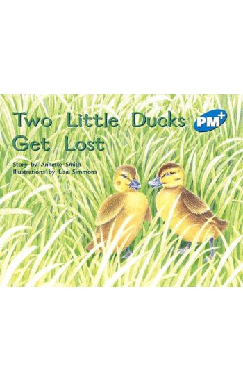 Two Little Ducks Get Lost