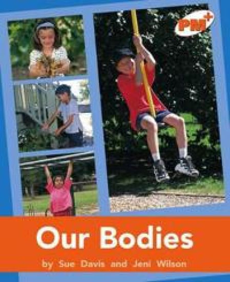 Our Bodies