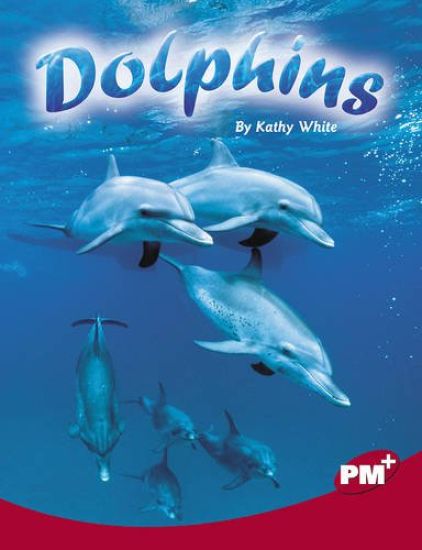 Dolphins