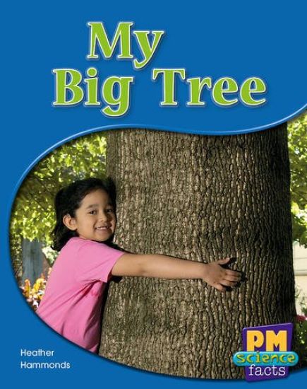 My Big Tree