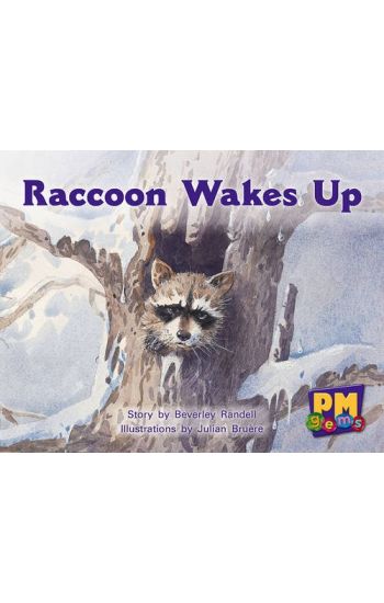Raccoon Wakes up