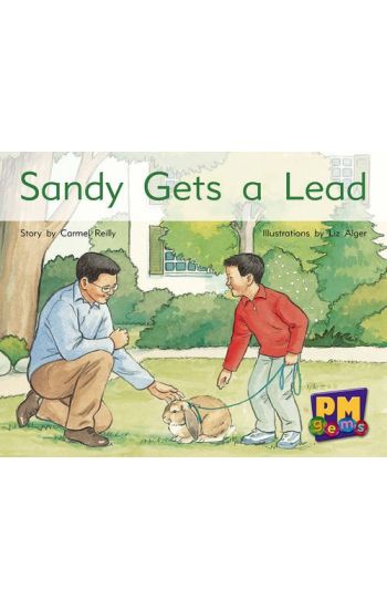 Sandy Gets a Lead