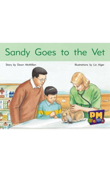 Sandy Goes to the Vet