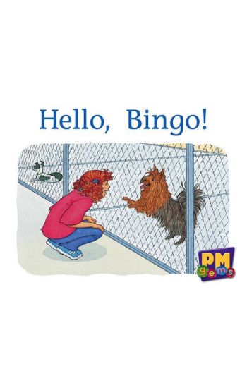 Hello, Bingo!