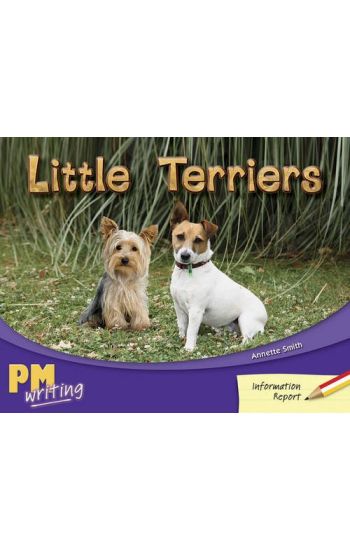 Little Terriers