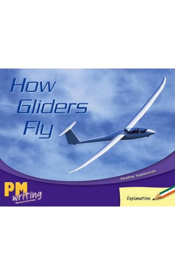 How Gliders Fly