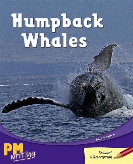 Humpback Whales
