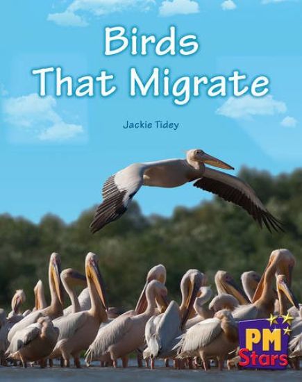 Birds That Migrate