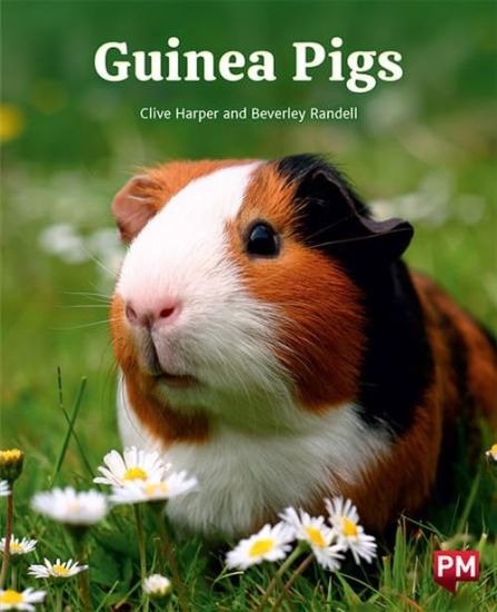 GUINEA PIGS
