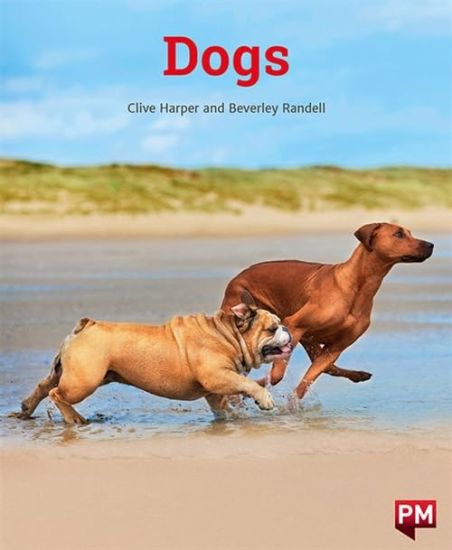 DOGS
