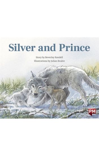SILVER AND PRINCE