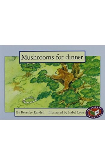 PM Blue Set 3 Fiction Level 11