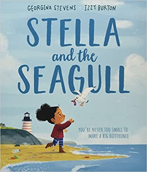 Year 1/Primary 2: Stella and the Seagull