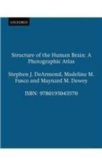 Structure of the Human Brain