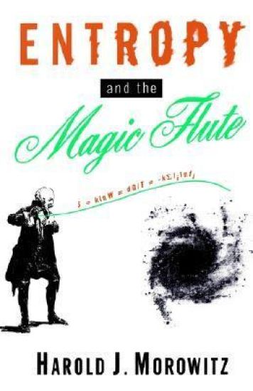 Entropy and the Magic Flute