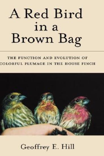 A Red Bird in a Brown Bag