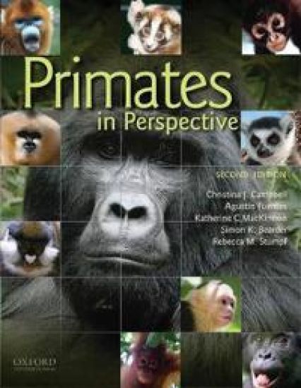 Primates In Perspective