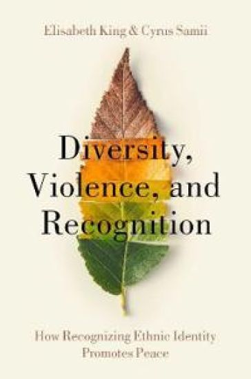 Diversity, Violence, and Recognition