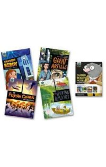 Project X Origins Graphic Texts: Grey Book Band, Oxford Level 14: Mixed Pack of 4