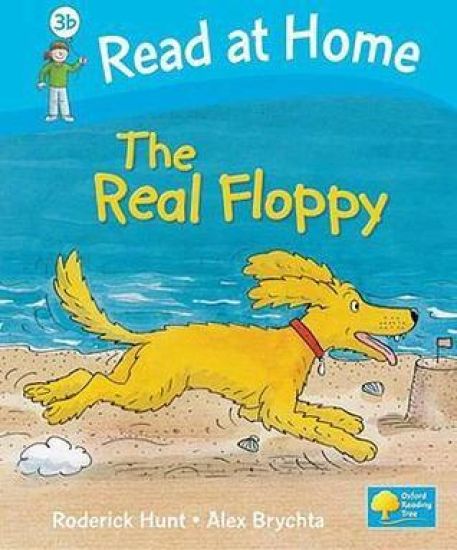 Read at Home: Level 3b: The Real Floppy