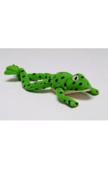 Read Write Inc. Phonics: Fred Frog Beanie