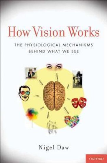 How Vision Works
